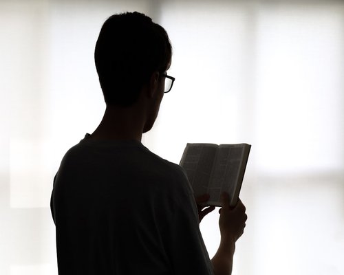 Person reading a book by the window